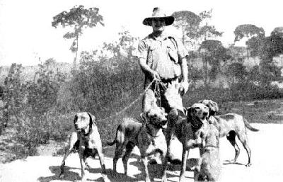 Historia rasy Rhodesian Ridgeback